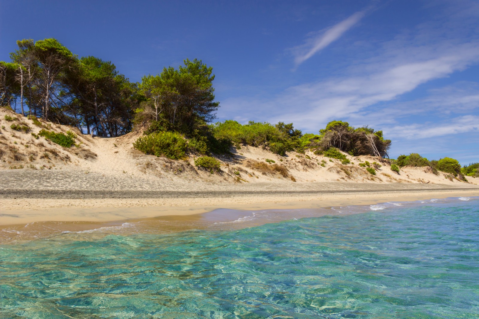 La spiaggia e la pineta dei laghi Alimini